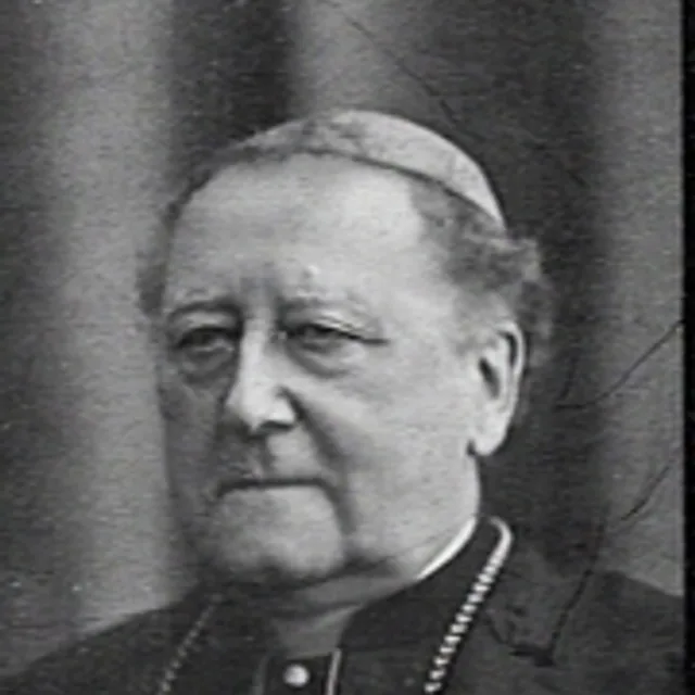 Henricus van de Wetering