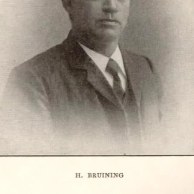 Hendrik Bruining