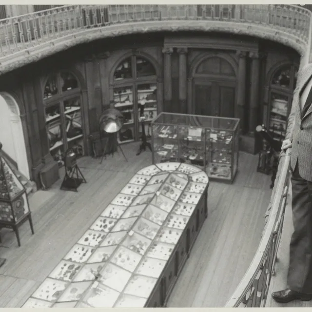 Jan van Borssum Buisman