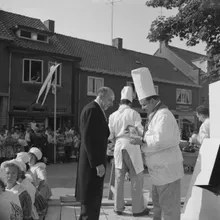 Frederikus Theophilus Constantinus Maria Terwindt