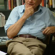 Jules Schelvis