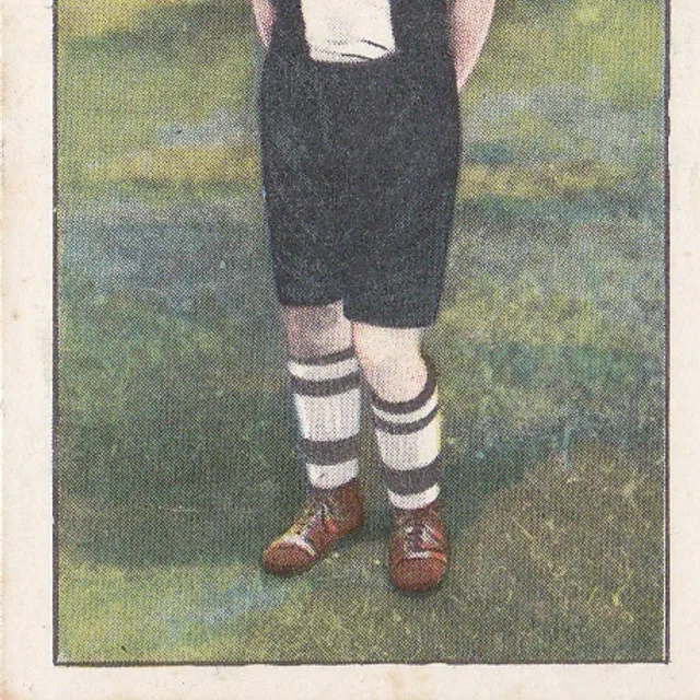 Kees van der Zalm